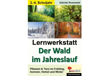 Lernwerkstatt Der Wald im Jahreslauf