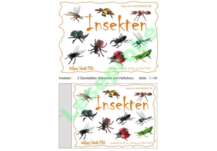 Insekten Tiere Biologie Kosmisch