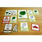 Botanical Cards