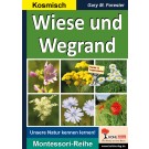 Wiese und Wegrand