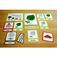 Botanical Cards