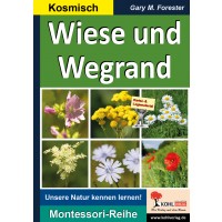 Wiese und Wegrand