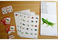 Schiebe- und Aufdeckspieleinlagen - Insekten