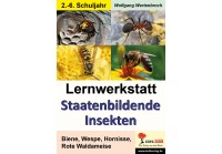 Lernwerkstatt Staatenbildende Insekten