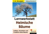 Lernwerkstatt Heimische Bäume