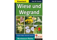 Wiese und Wegrand